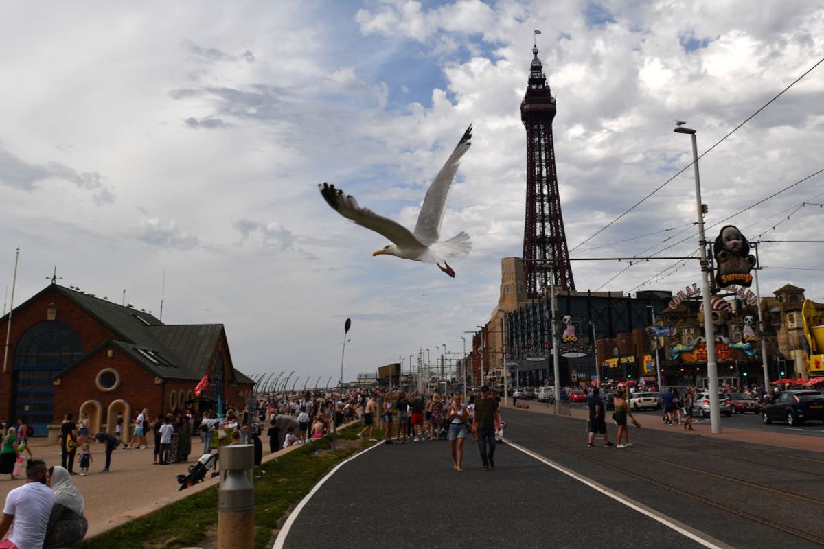 BLACKPOOL, ENGLAND - JULY 31: A herring gull flies in front of Blackpool Tower on July 31, 2020 in Blackpool, England. High temperatures are forecast across the UK today, with some areas in the south expected to reach 33-34C. (Photo by Anthony Devlin/Getty Images) (Anthony Devlin / Getty Images)