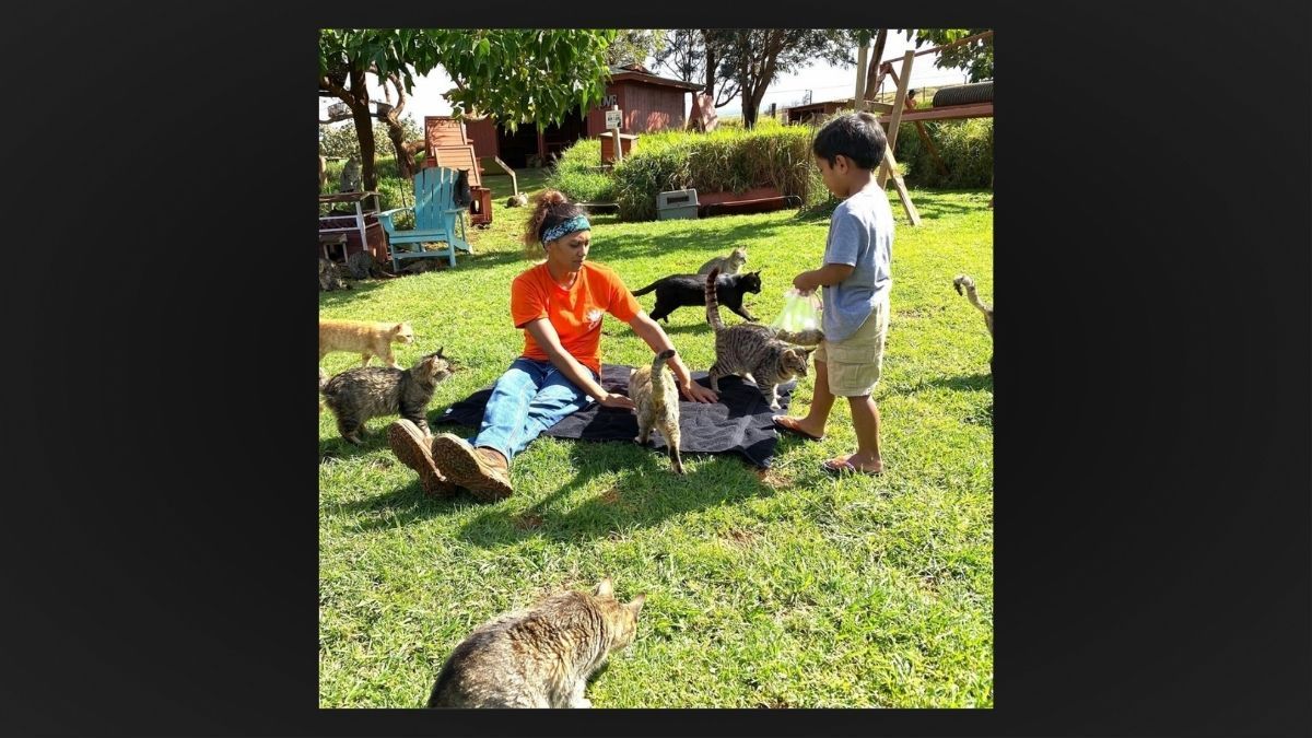  (Lanai Cat Sanctuary/Instagram)