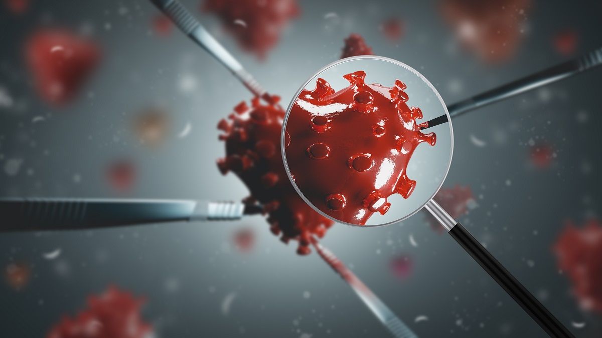 Corona virus under magnifying glass. Observation made by virologists in the laboratory with microscope.  Red heart shaped coronavirus being mutated through genome modification. 3D rendering. (Stockcrafter/iStock via Getty Images Plus)