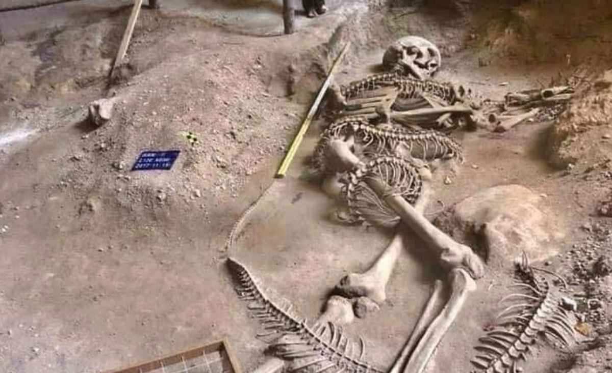 Was the Skeleton of a Giant Battling a Serpent Found in Thailand? |  Snopes.com