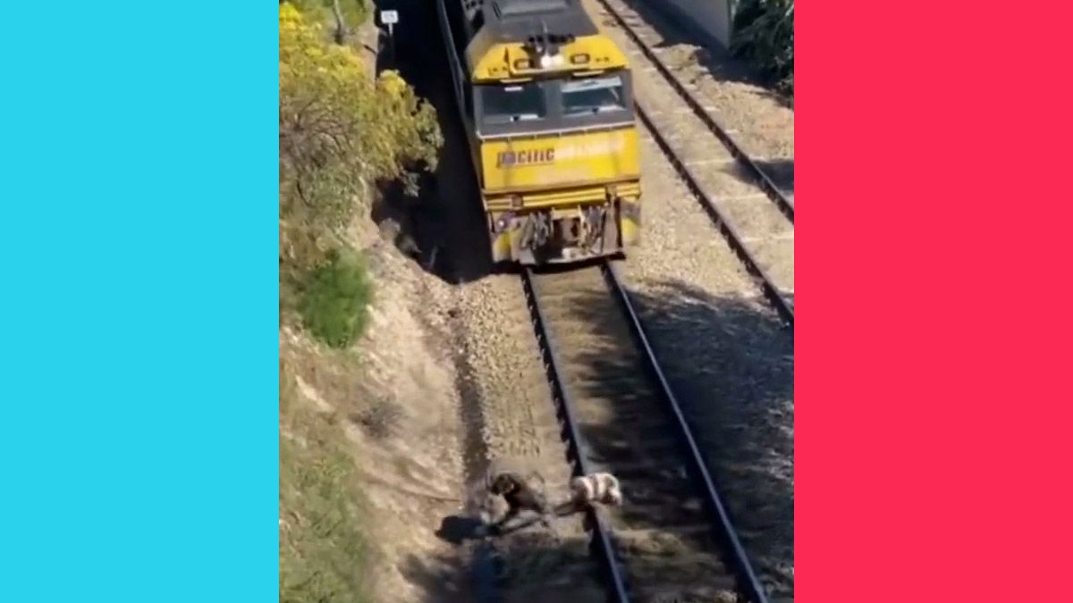 A TikTok video was posted that showed a man rescuing a dog tied to railroad tracks the instant before a train would have hit both of them. (TikTok)