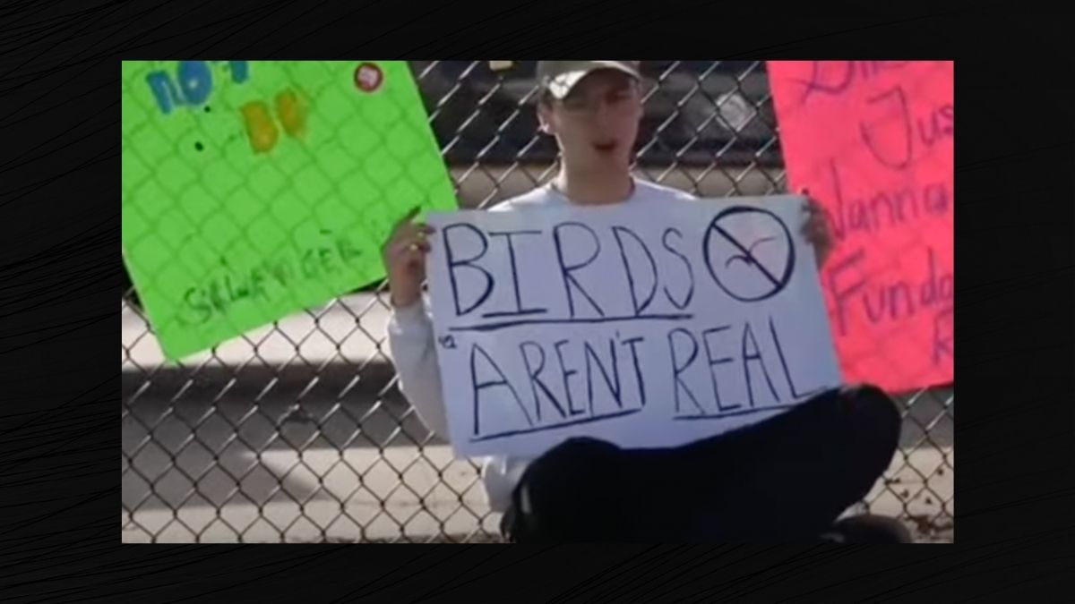  (Screenshot, Birds Aren't Real YouTube page)