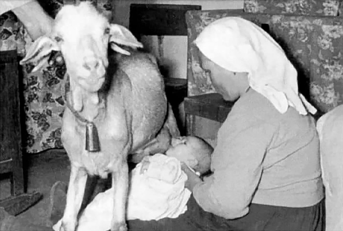 A picture posted to Reddit purportedly showed a mother helping a baby feed from a goat's udders in 1927 in what was described as rural homestead life. (Quesería El Faro)