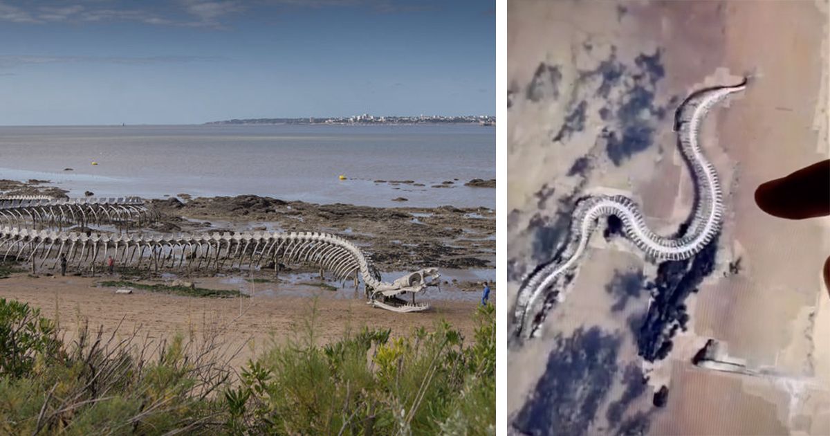A giant snake skeleton was supposedly found off the coast of France on Google Maps and Google Earth and was purportedly Titanoboa. (@lecourtzabala (Flickr) and @googlemapsfun (TikTok))