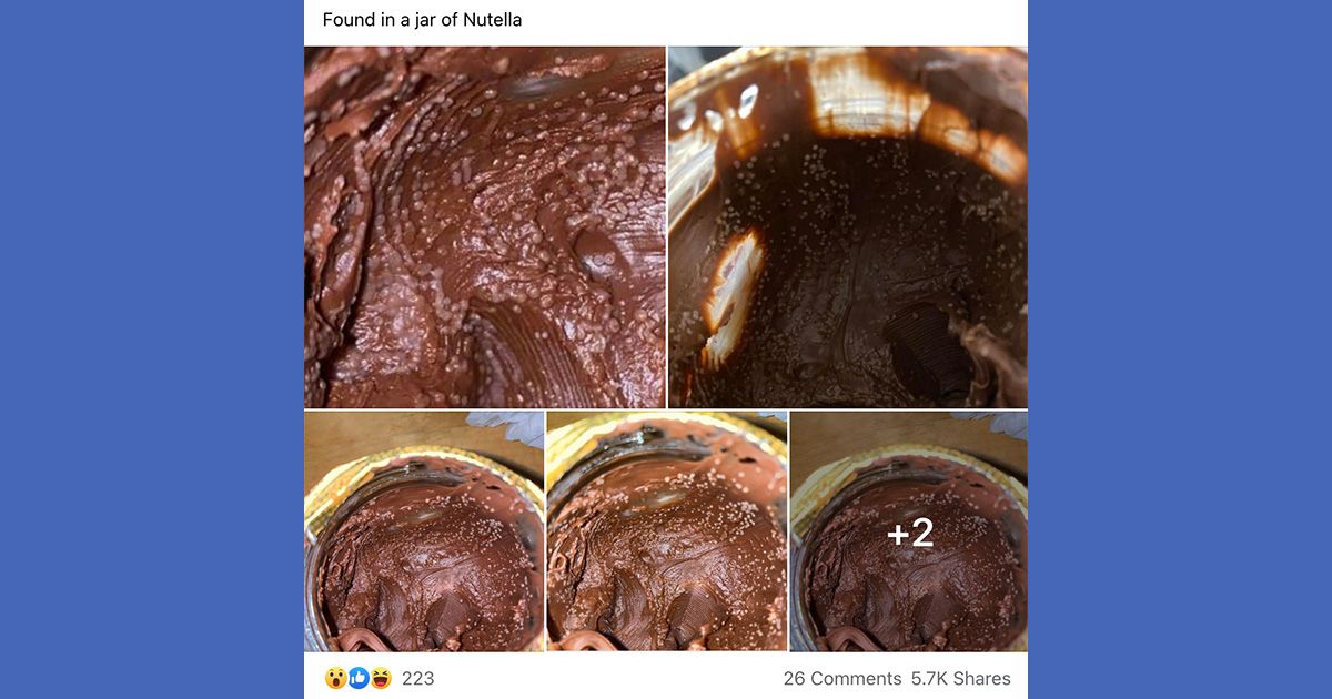 Nutella was not part of Ferrero's Kinder recall nor were salmonella or maggots or worms found in the hazelnut spread. (Facebook)