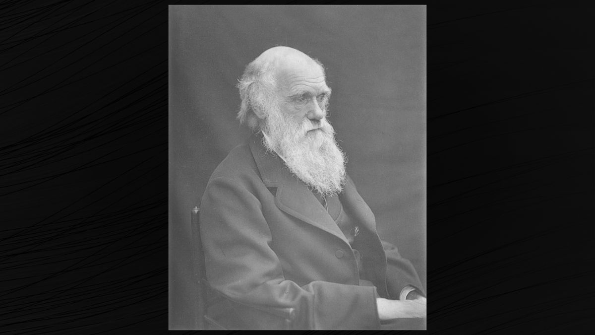  (Leonard Darwin/Wikimedia Commons)