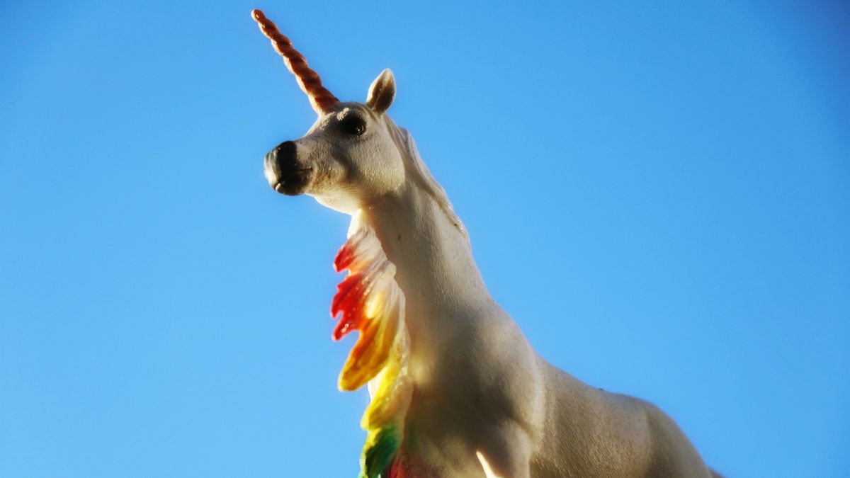 Yes, LA County Granted a Young Girl's Request for a Unicorn License |  