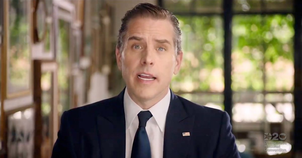 In this screenshot from the DNCC’s livestream of the 2020 Democratic National Convention, Hunter Biden, son of Democratic presidential nominee Joe Biden, addresses the virtual convention on August 20, 2020. ((Photo by Handout/DNCC via Getty Images))