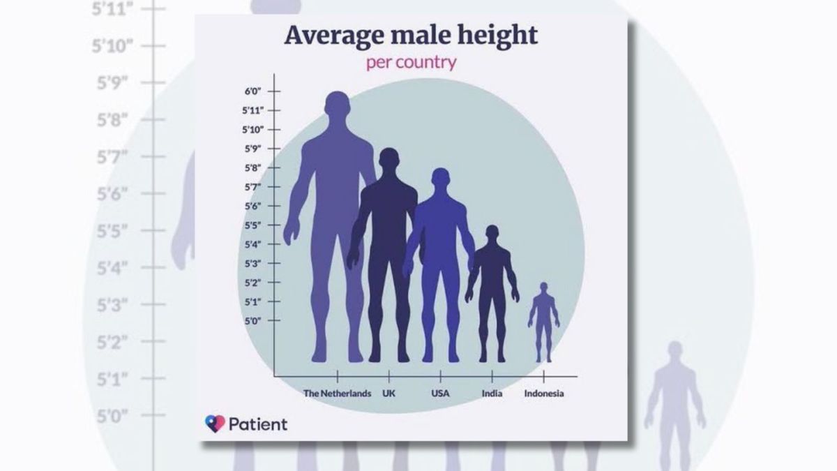 Average Male Height 2024 ❤️