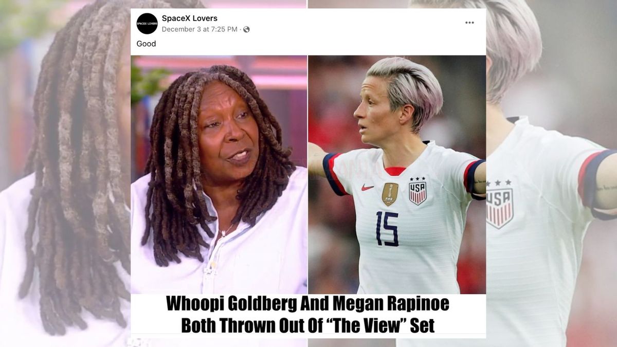 Megan Rapinoe and Whoopi Goldberg Were Kicked Off 'The View'?