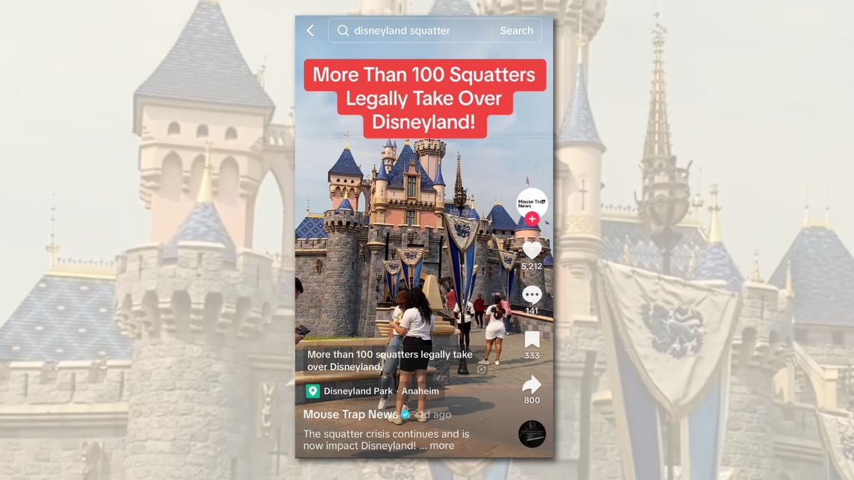 TikTok video claims Disneyland in California is dealing with a squatter crisis. (screen capture)
