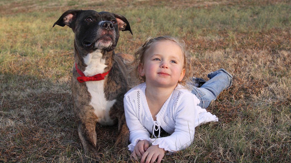 A stock photo shows a little girl and a dog posing for pictures. (Image courtesy Princessdlaf/Getty Images) (Princessdlaf/Getty Images)