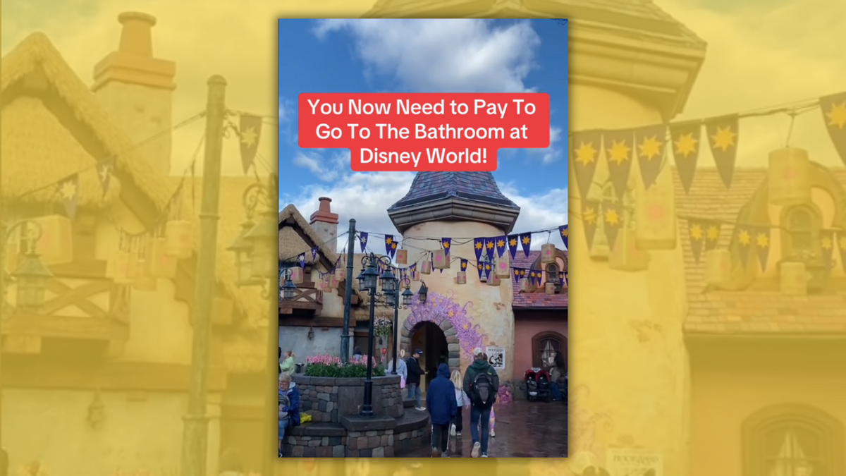 Read more about the article Does Disney World now charge guests to use the restrooms?