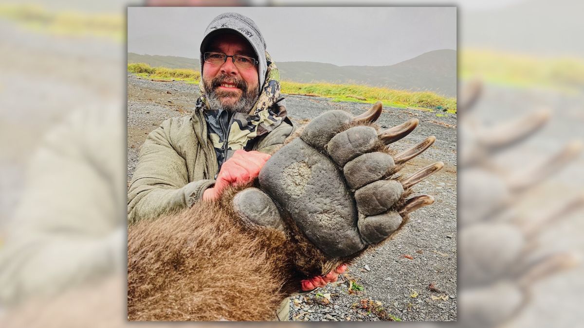 Photo Shows True Size of Bear's Paw Compared to Human? | Snopes.com