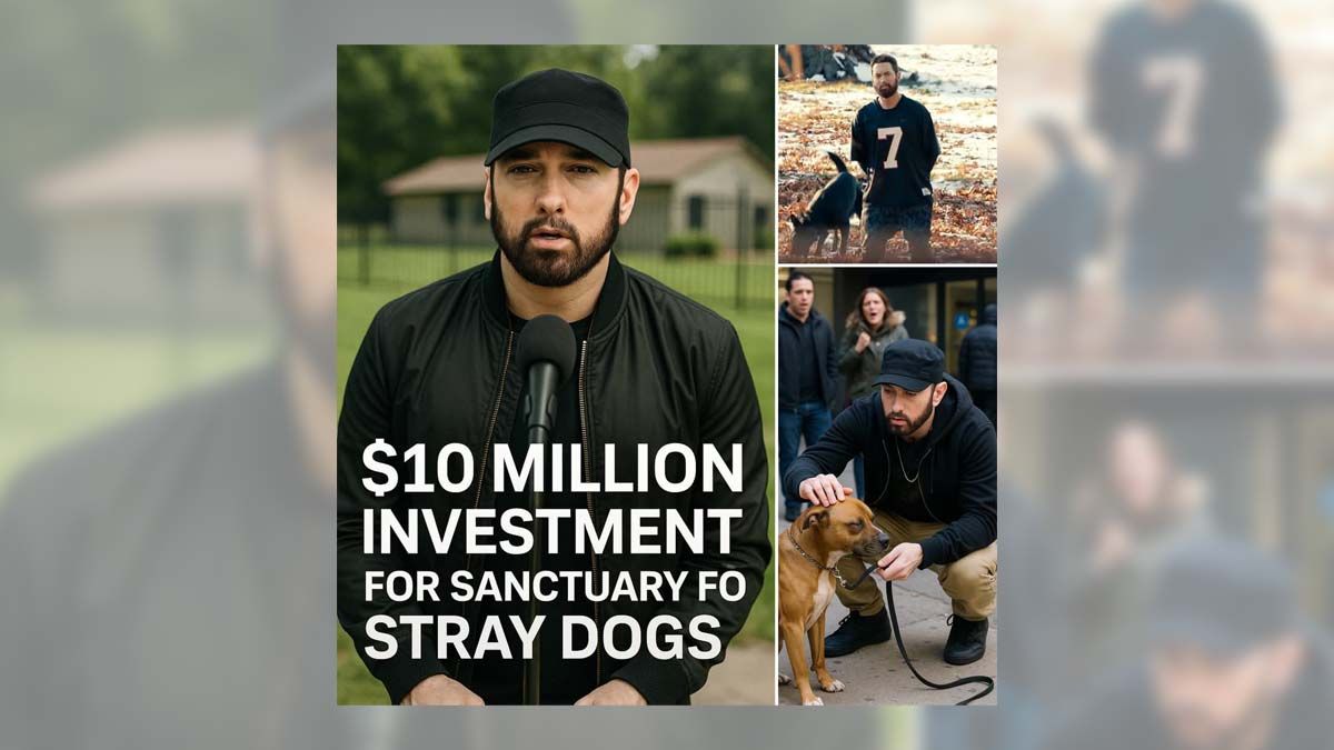 Eminem announced $10M investment to build stray dog rescue 'paradise'?
