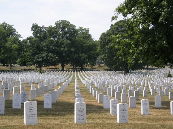 Did Eleven U.S. Marines Give Their Lives This Week? | Snopes.com