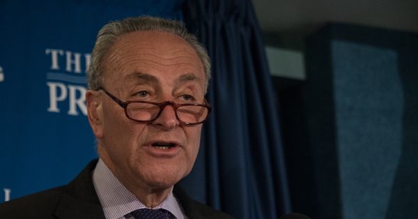 Chuck Schumer And Alison R Greenfield Articles 