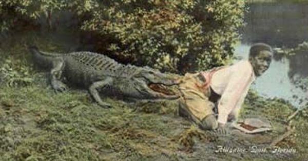 https://mediaproxy.snopes.com/width/600/https://media.snopes.com/2017/06/1911_Postcard-Alligator_Bait_fb.jpg