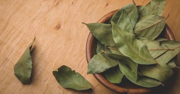 Will Burning Bay Leaves Reduce Anxiety? | Snopes.com