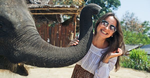 Do Elephants Think Humans Are 'Cute'? | Snopes.com