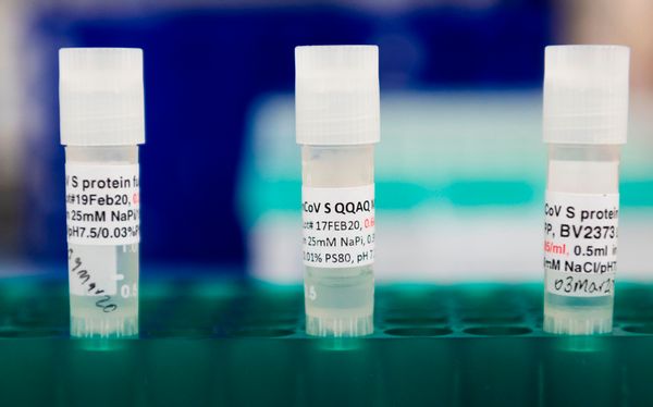 Three potential coronavirus, COVID-19, vaccines are kept in a tray at Novavax labs in Gaithersburg, Maryland on March 20, 2020, one of the labs developing a vaccine for the coronavirus, COVID-19. (Photo by ANDREW CABALLERO-REYNOLDS / AFP) / The erroneous mention[s] appearing in the metadata of this photo by ANDREW CABALLERO-REYNOLDS has been modified in AFP systems in the following manner: [Gaithersburg] instead of [Rockville]. Please immediately remove the erroneous mention[s] from all your online services and delete it (them) from your servers. If you have been authorized by AFP to distribute it (them) to third parties, please ensure that the same actions are carried out by them. Failure to promptly comply with these instructions will entail liability on your part for any continued or post notification usage. Therefore we thank you very much for all your attention and prompt action. We are sorry for the inconvenience this notification may cause and remain at your disposal for any further information you may require. (Photo by ANDREW CABALLERO-REYNOLDS/AFP via Getty Images) (ANDREW CABALLERO-REYNOLDS/AFP via Getty Images)