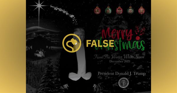 This phallic Christmas card featuring former President Donald Trump was not an official item from the family or his organization. (Twitter)