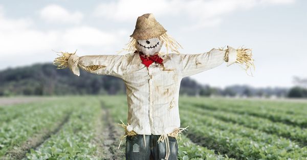 GettyImages-186651434-scarecrow.jpg