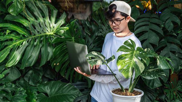 The internet is full of advice on just about everything, including plant care.