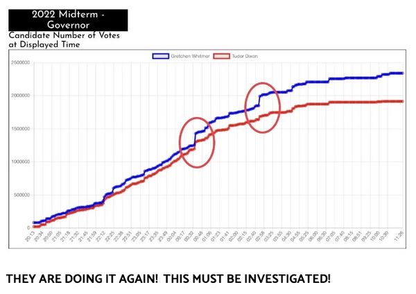 Voter Blue Book Snafu Unnerves Advocates Ahead Of Ballots Dropping In The  Mail