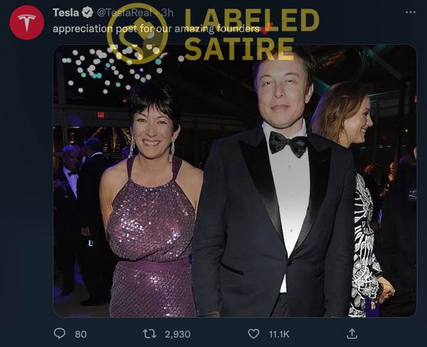 A parody account trolled Elon Musk on Twitter with a checkmark badge and pretended to be Tesla.