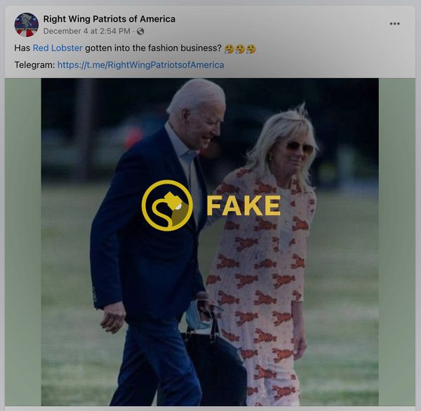 Jill Biden did not wear an outfit or dress with lobsters as the picture was doctored.