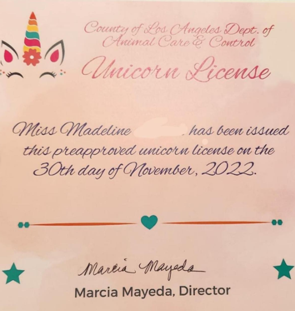 L.A. County unicorn license