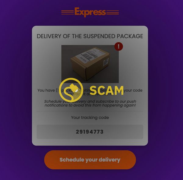 A FedEx email scam for a package delivery notification said your package is held in our warehouse.