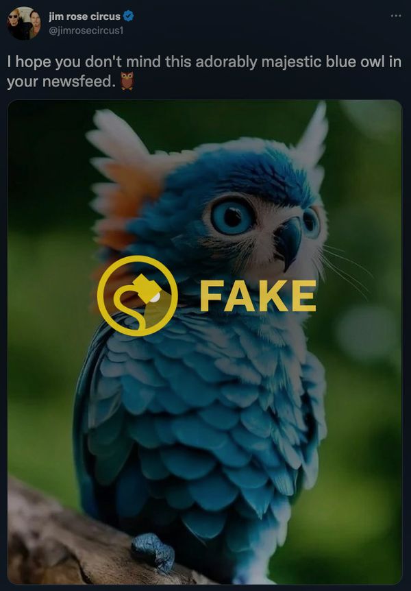 A picture of a blue owl was not real because blue owls aren't real.