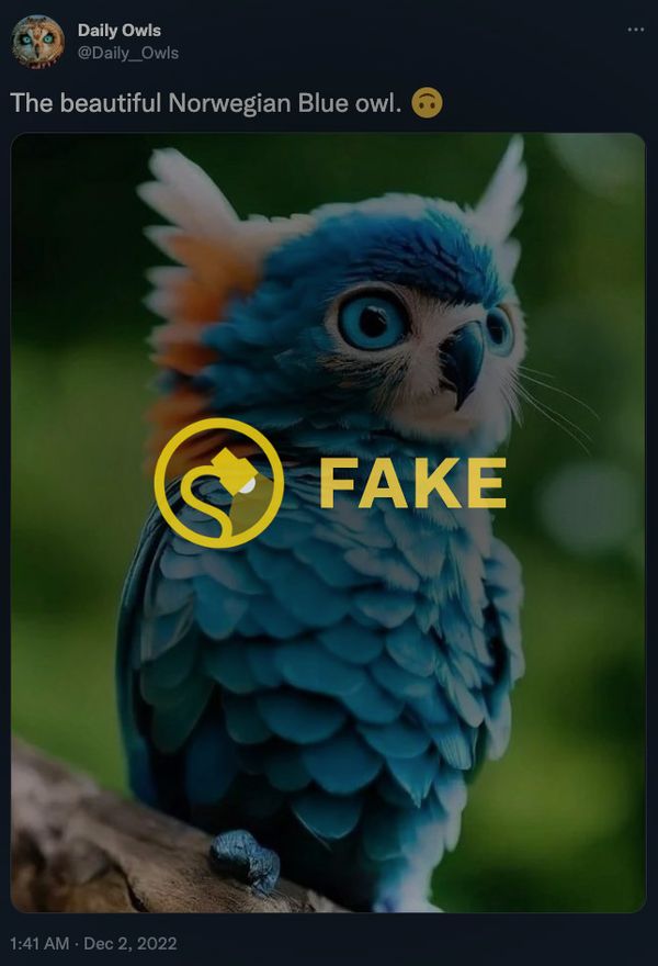 A picture of a blue owl was not real because blue owls aren't real.