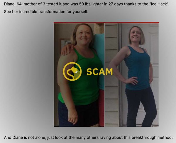 A so-called USA Today fake article prompted a single icebreaker scam review of an Alpilean weight loss product.