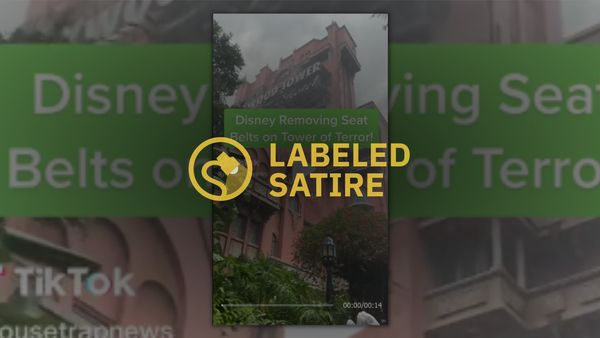 A yellow "labeled satire" graphic is over a TikTok video that says Disney is removing seat belts on Tower of Terror.