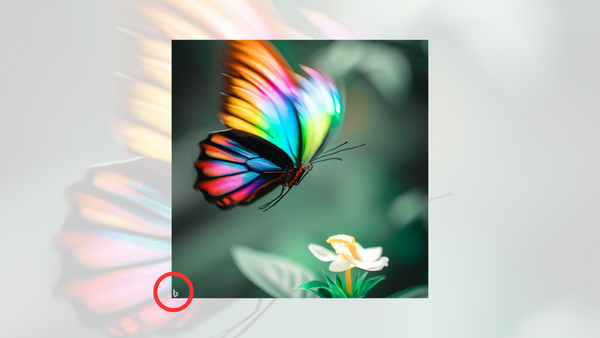 A butterfly with rainbow wings lands on a flower. A red circle is around a lowercase b in the left corner of the image.