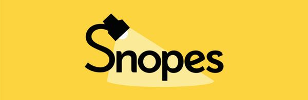 Jobs: Early-Career News Reporters | Snopes.com