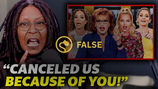 Whoopi Goldberg did not cause The View to be canceled, nor did her co-hosts shame her for supposedly destroying the show.
