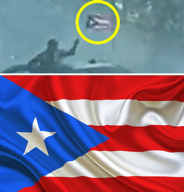 A video purportedly showed a man waving a Palestinian flag in New York traffic on the Long Island Expressway, but in reality the flag was that of Puerto Rico.