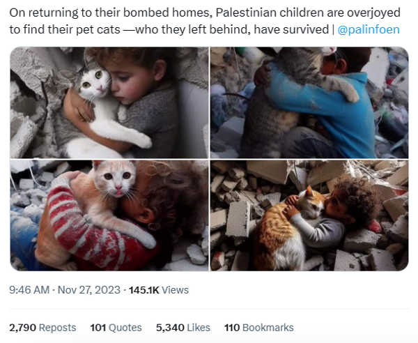 A X post says, &quot;On returning to their bombed homes, Palestinian children are overjoyed to find their pet cats -  who they left behind, have survived.&quot; Below are four iamges showing kids holding cats.
