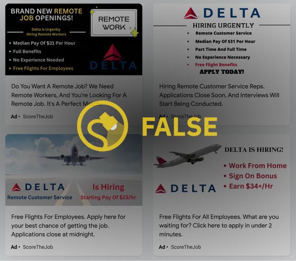 A rumor said that Delta Air Lines was offering remote and work from home customer service job positions with free flights for new hires.