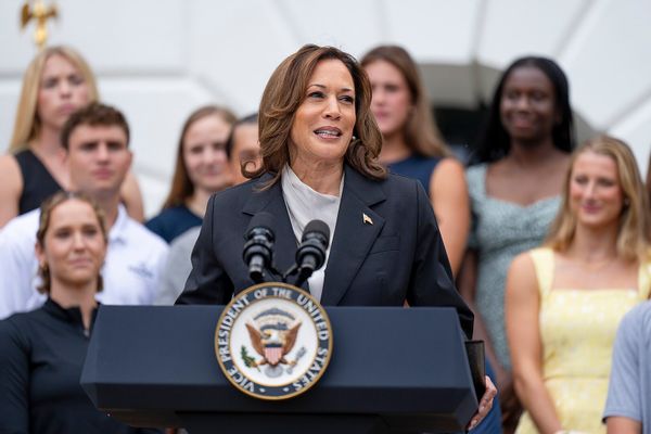 Kamala Harris Is Eligible to Run for US President, Despite Parents ...