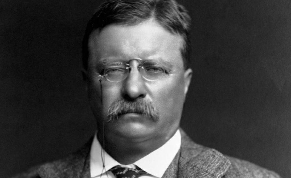 Theodore Roosevelt on Immigration | Snopes.com