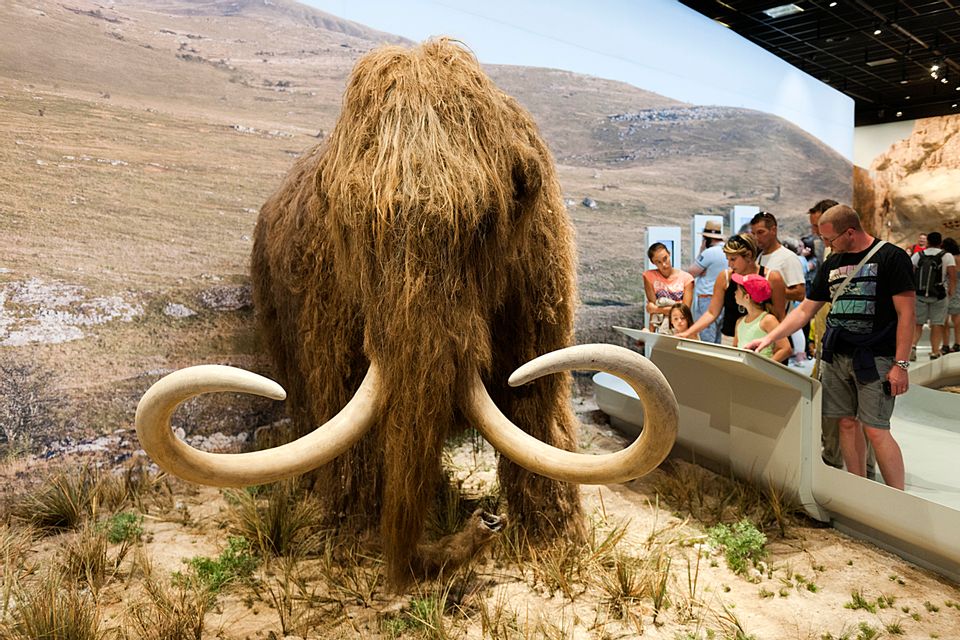 Are Scientists Attempting to 'Reincarnate' the Woolly Mammoth By 2027