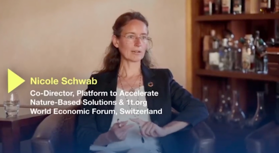 Did Daughter of WEF's Klaus Schwab Say 'Permanent Climate Lockdowns ...