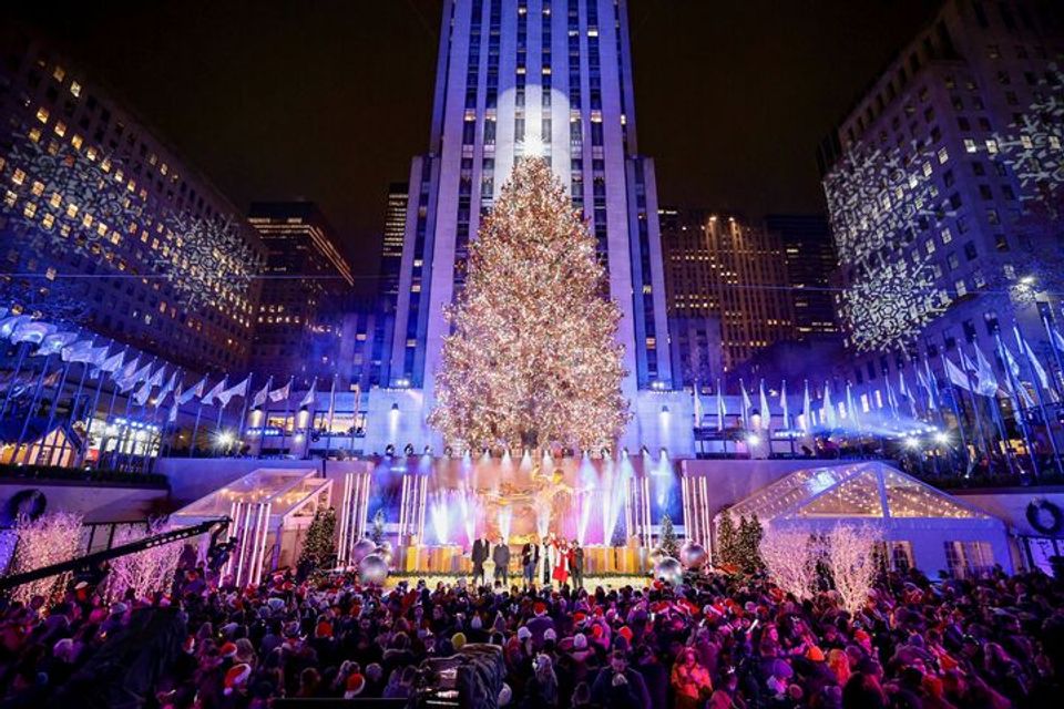 Ever Wondered What Happens to the Rockefeller Christmas Tree After the ...