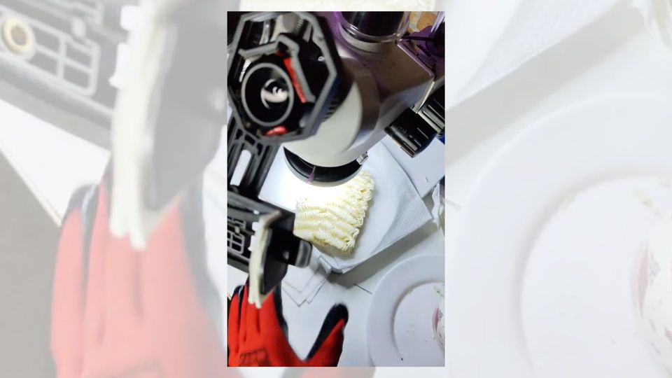 Real Video of Microscopic Bugs on Dried, Instant Ramen?